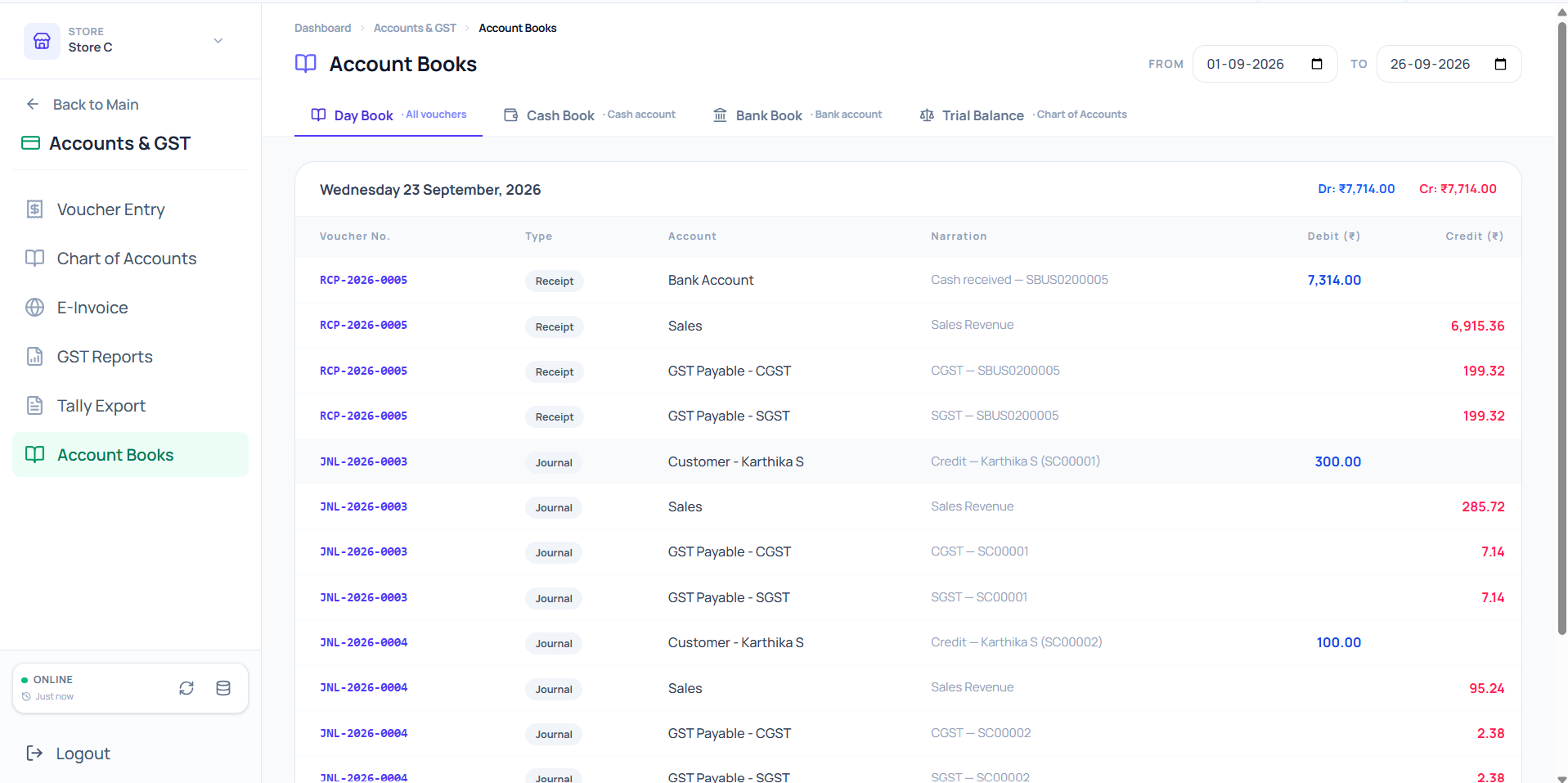 ERP Software account books showing day book vouchers, debits, and credits
